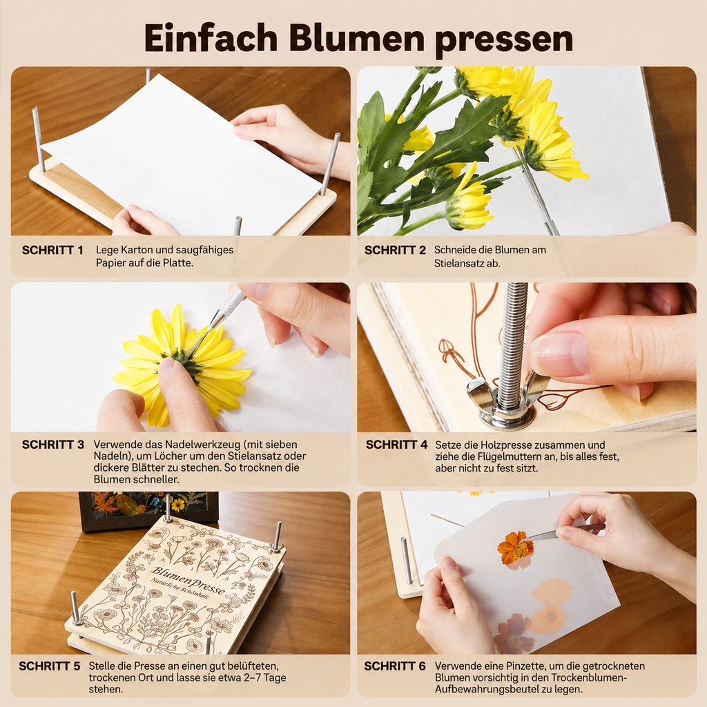 Blutenpressen - Set