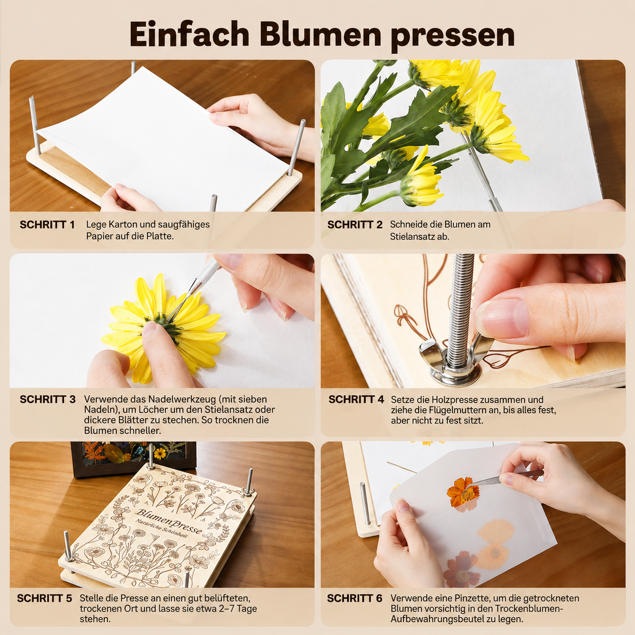 Blutenpressen - Set